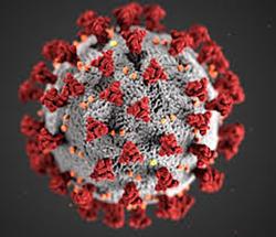 Corona virus